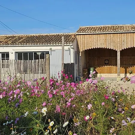 Maison Neuve A 500m De La Plage, La Menouniere Saint-Pierre-d'Oleron